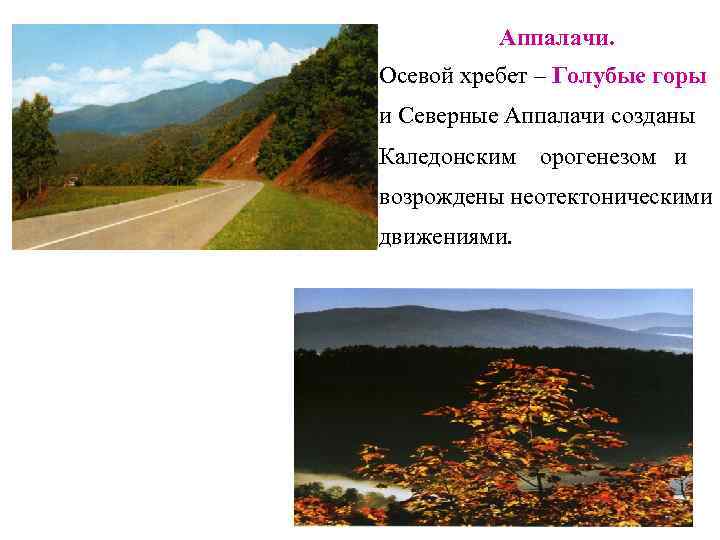    Аппалачи. Осевой хребет – Голубые горы и Северные Аппалачи созданы Каледонским