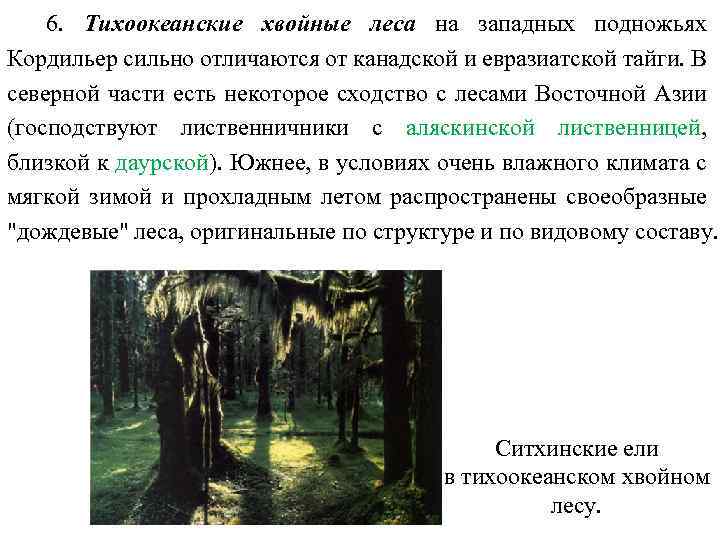 6. Тихоокеанские хвойные леса на западных подножьях Кордильер сильно отличаются от канадской и евразиатской