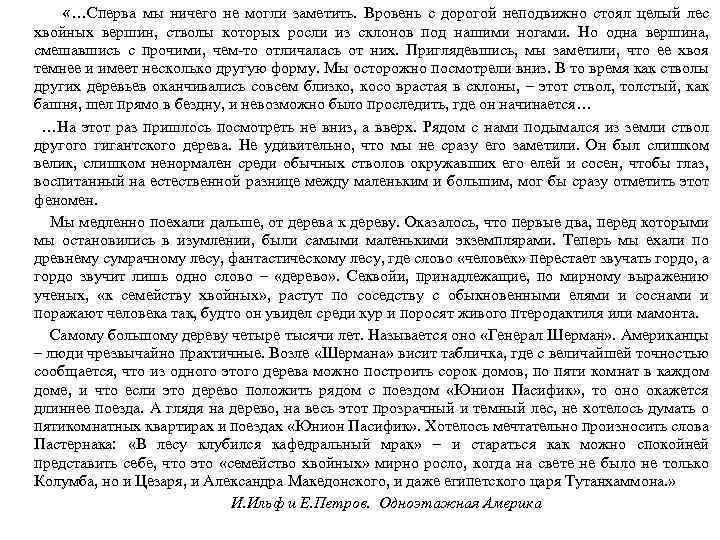  «…Сперва мы ничего не могли заметить. Вровень с дорогой неподвижно стоял целый лес