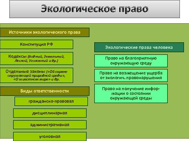 Экологическое право Источники экологического права Конституция РФ Экологические права человека Кодексы (Водный, Земельный, Право