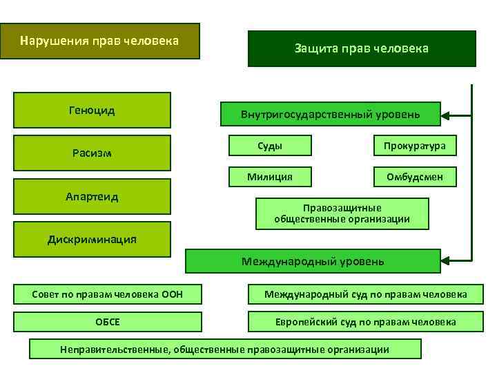 Нарушения прав человека Геноцид Защита прав человека Внутригосударственный уровень Апартеид Суды Прокуратура Милиция Расизм