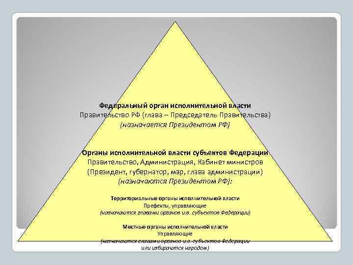  Федеральный орган исполнительной власти Правительство РФ (глава – Председатель Правительства)  (назначается Президентом