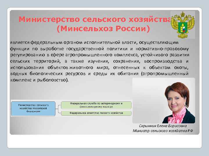   Министерство сельского хозяйства РФ  (Минсельхоз России) является федеральным органом исполнительной власти,
