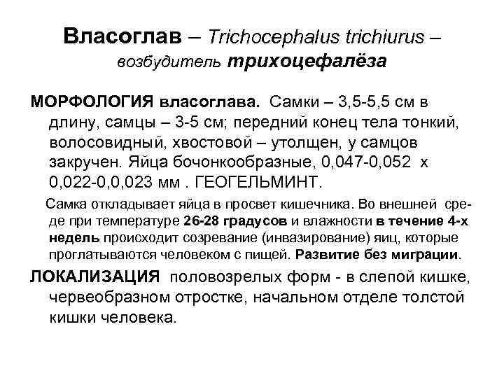 Власоглав – Trichocephalus trichiurus – возбудитель трихоцефалёза МОРФОЛОГИЯ власоглава. Самки – Власоглав – Trichocephalus trichiurus – возбудитель трихоцефалёза МОРФОЛОГИЯ власоглава. Самки –