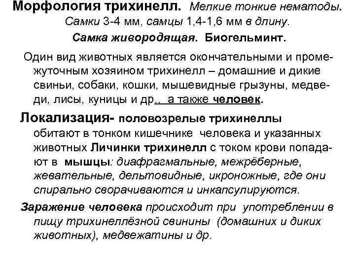 Морфология трихинелл. Мелкие тонкие нематоды. Самки 3 -4 мм, самцы 1, 4 Морфология трихинелл. Мелкие тонкие нематоды. Самки 3 -4 мм, самцы 1, 4