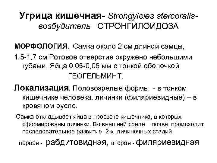 Угрица кишечная- Strongyloies stercoralis- возбудитель СТРОНГИЛОИДОЗА МОРФОЛОГИЯ. Самка около 2 см длиной Угрица кишечная- Strongyloies stercoralis- возбудитель СТРОНГИЛОИДОЗА МОРФОЛОГИЯ. Самка около 2 см длиной