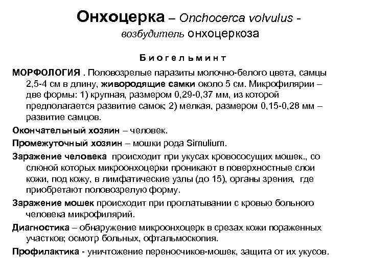 Онхоцерка – Onchocerca volvulus - возбудитель онхоцеркоза Онхоцерка – Onchocerca volvulus - возбудитель онхоцеркоза