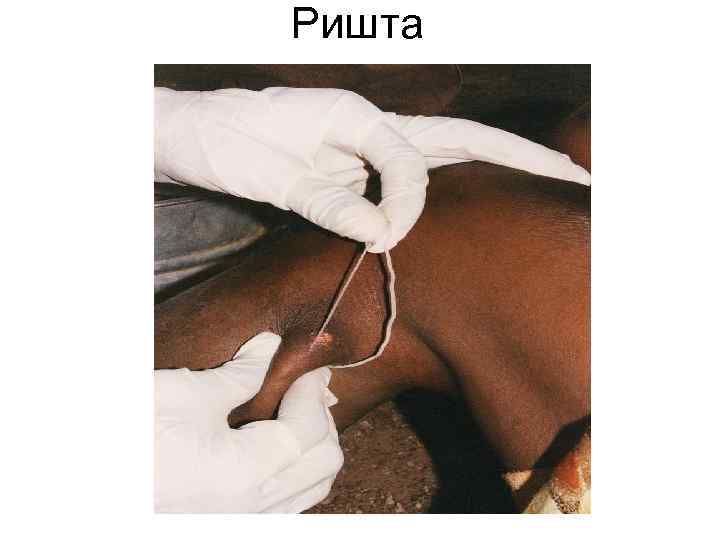 Ришта Ришта