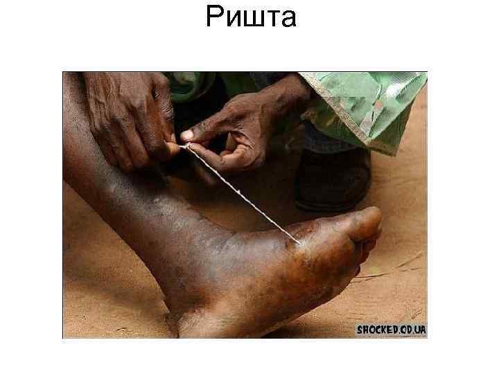 Ришта Ришта