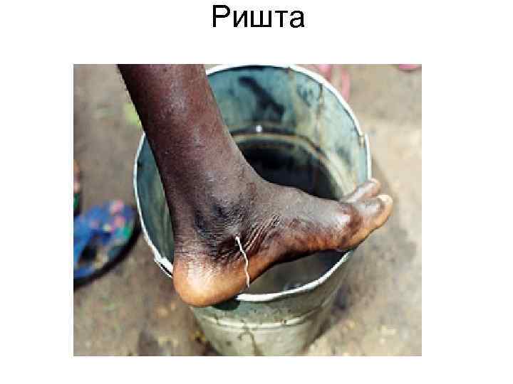 Ришта Ришта