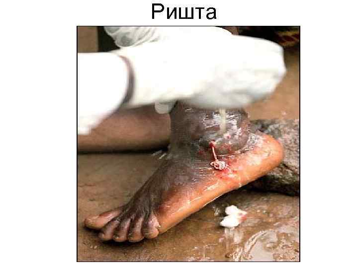 Ришта Ришта