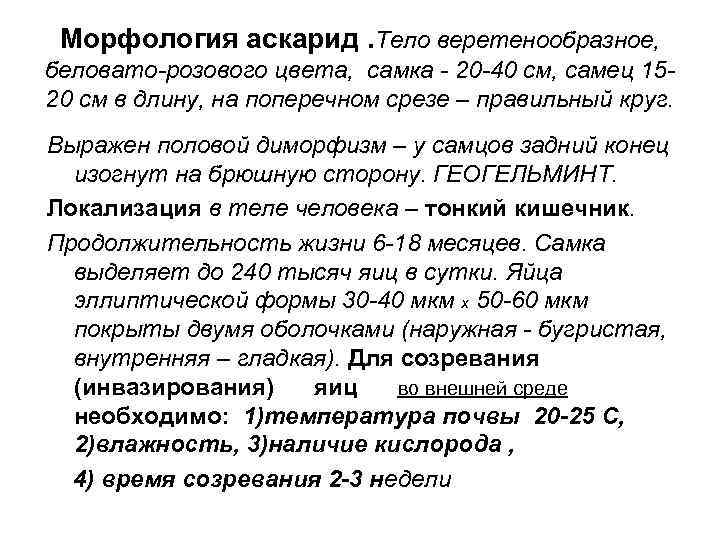 Морфология аскарид. Тело веретенообразное, беловато-розового цвета, самка - 20 -40 см, самец 15 Морфология аскарид. Тело веретенообразное, беловато-розового цвета, самка - 20 -40 см, самец 15