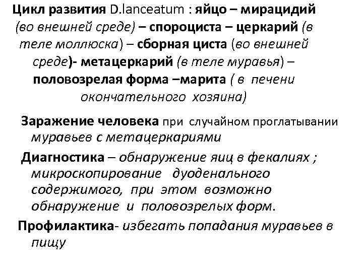 Цикл развития D. lanceatum : яйцо – мирацидий (во внешней среде) – спороциста –