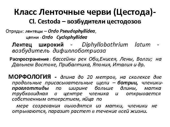   Класс Ленточные черви (Цестода)-  Cl. Cestoda – возбудители цестодозов Отряды: лентецы