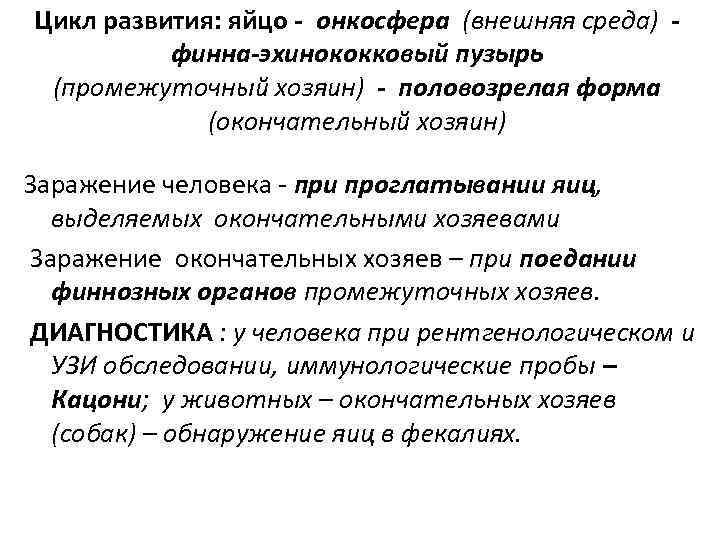 Цикл развития: яйцо - онкосфера (внешняя среда) -  финна-эхинококковый пузырь (промежуточный хозяин) -