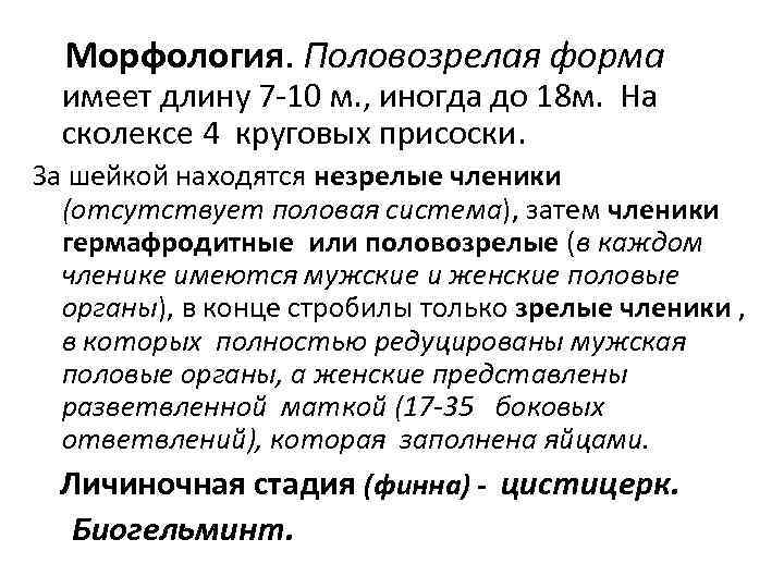   Морфология. Половозрелая форма имеет длину 7 -10 м. , иногда до 18