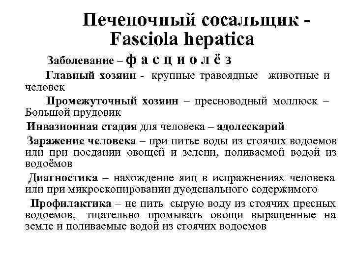      Печеночный сосальщик -   Fasciola hepatica  