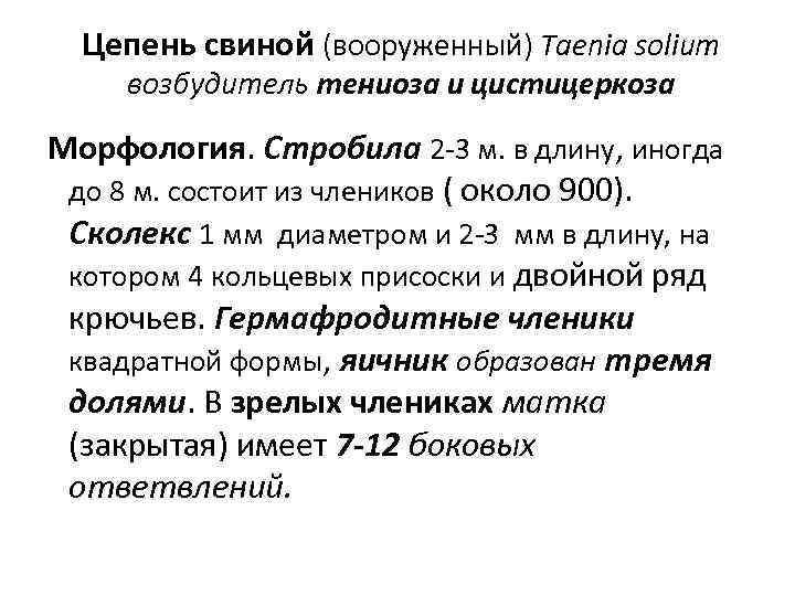  Цепень свиной (вооруженный) Taenia solium  возбудитель тениоза и цистицеркоза  Морфология. Стробила