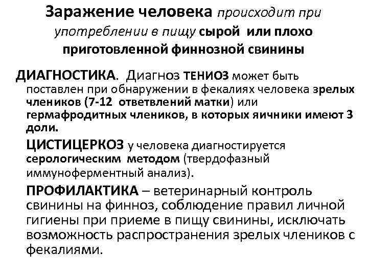   Заражение человека происходит при употреблении в пищу сырой или плохо  приготовленной