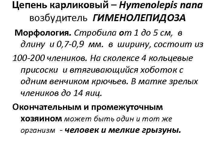 Цепень карликовый – Hymenolepis nana  возбудитель ГИМЕНОЛЕПИДОЗА Морфология. Стробила от 1 до 5