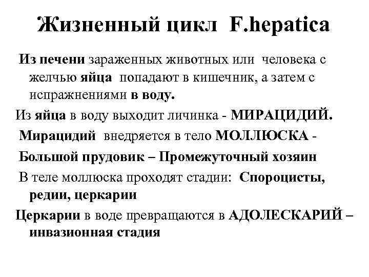  Жизненный цикл F. hepatica Из печени зараженных животных или человека с  желчью