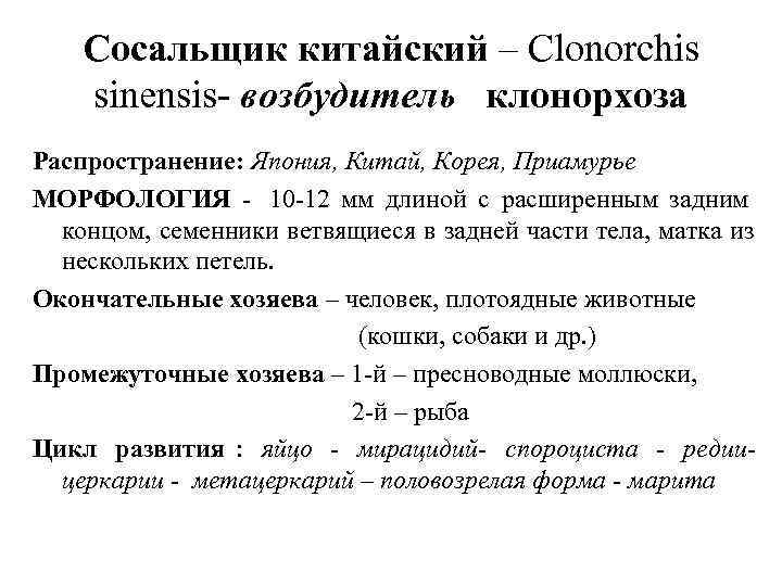   Сосальщик китайский – Clonorchis sinensis- возбудитель клонорхоза Распространение: Япония, Китай, Корея, Приамурье
