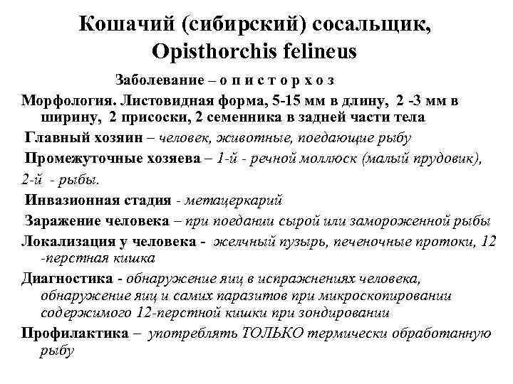   Кошачий (сибирский) сосальщик,   Opisthorchis felineus   Заболевание – о