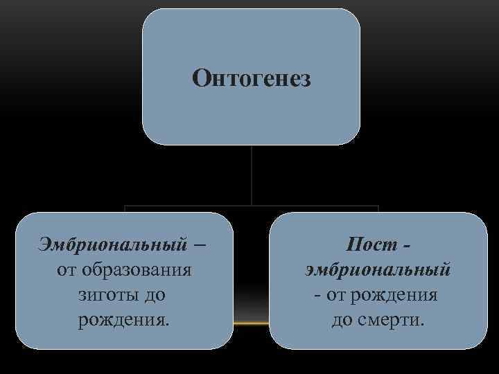    Онтогенез Эмбриональный –  Пост - от образования эмбриональный  зиготы