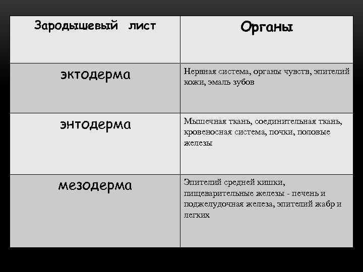 Зародышевый лист    Органы эктодерма  Нервная система, органы чувств, эпителий 