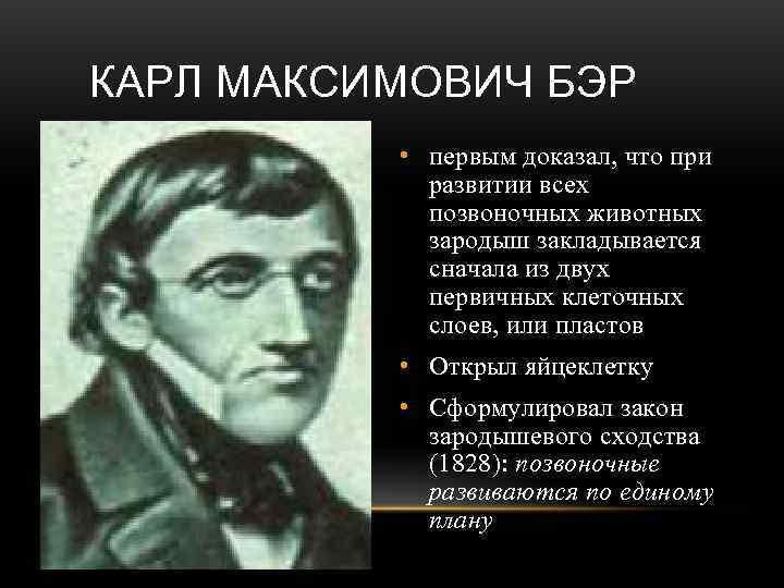 КАРЛ МАКСИМОВИЧ БЭР  • первым доказал, что при   развитии всех 
