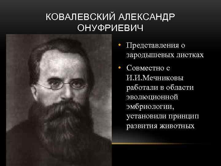 КОВАЛЕВСКИЙ АЛЕКСАНДР ОНУФРИЕВИЧ   • Представления о   зародышевых листках  