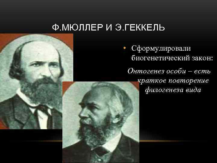 Ф. МЮЛЛЕР И Э. ГЕККЕЛЬ    • Сформулировали    биогенетический