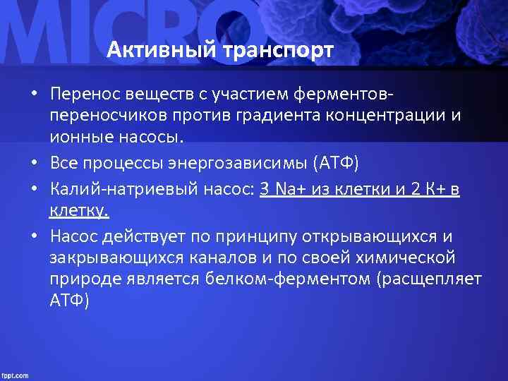   Активный транспорт • Перенос веществ с участием ферментов-  переносчиков против градиента
