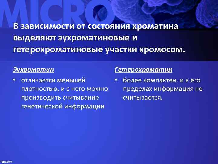 Эухроматин и гетерохроматин это. Эухроматин и гетерохроматин. Хроматин эухроматин. Хроматин эухроматин и гетерохроматин. Типы хроматина.