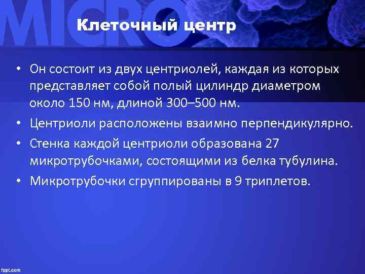    Клеточный центр  • Он состоит из двух центриолей, каждая из