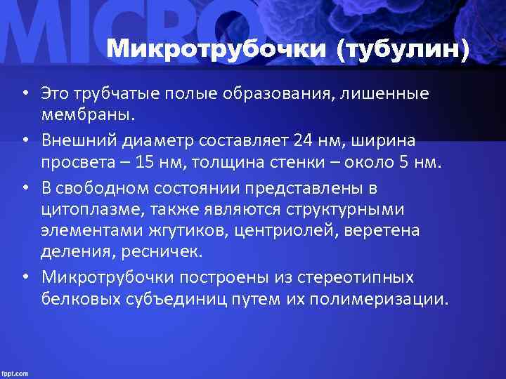    Микротрубочки (тубулин) • Это трубчатые полые образования, лишенные  мембраны. 
