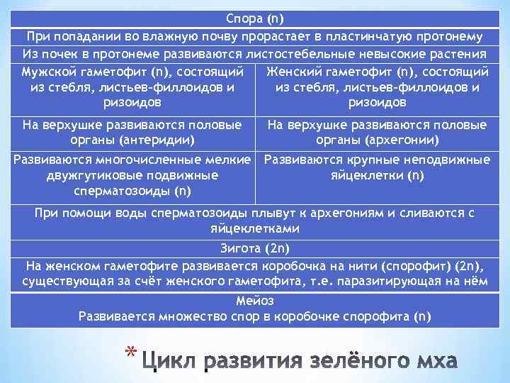       Спора (n)  При попадании во влажную почву