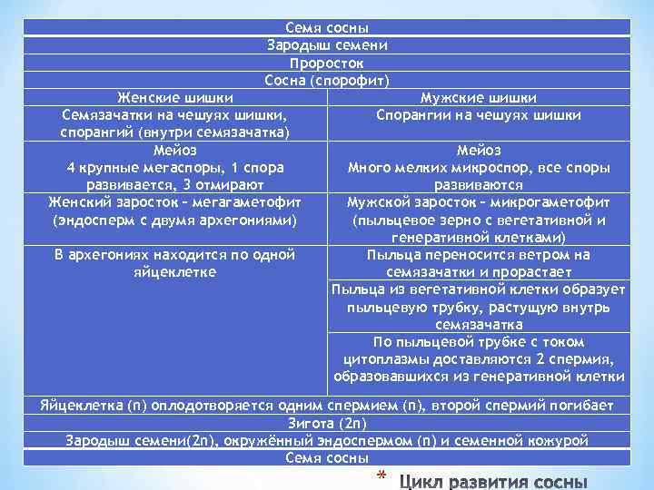      Семя сосны     Зародыш семени 