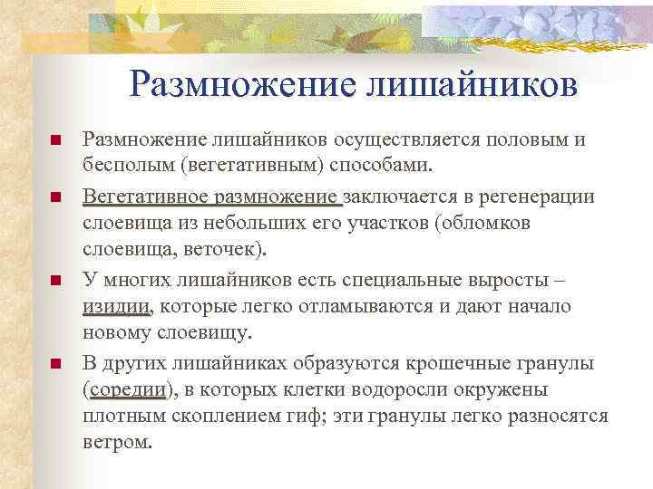   Размножение лишайников n  Pазмножение лишайников осуществляется половым и бесполым (вегетативным) способами.