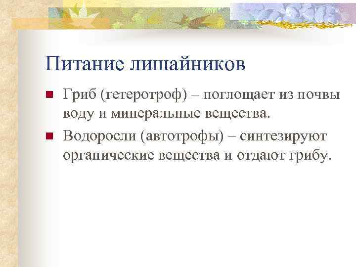 Питание лишайников n  Гриб (гетеротроф) – поглощает из почвы воду и минеральные вещества.
