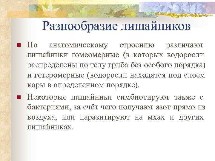   Разнообразие лишайников n  По анатомическому стpоению pазличают лишайники гомеомеpные (в котоpых