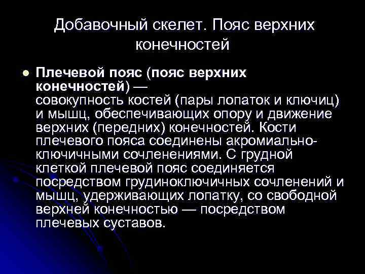   Добавочный скелет. Пояс верхних    конечностей l  Плечевой пояс