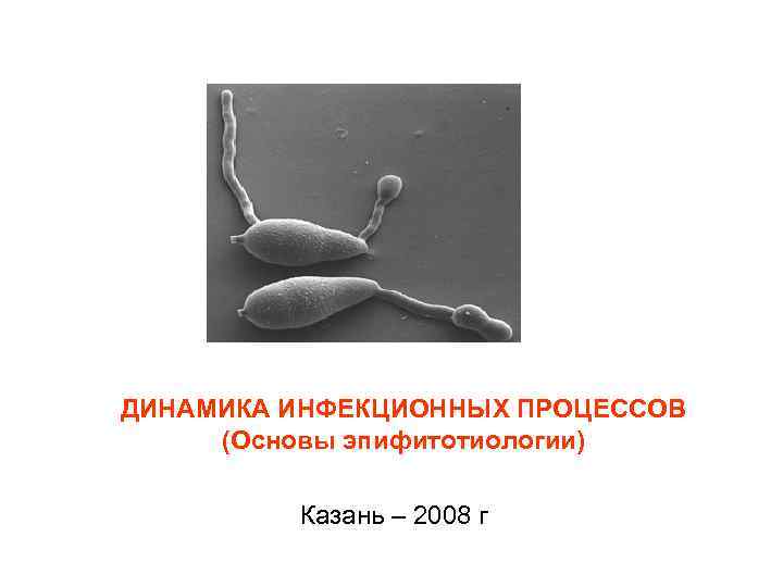 ДИНАМИКА ИНФЕКЦИОННЫХ ПРОЦЕССОВ (Основы эпифитотиологии)  Казань – 2008 г 