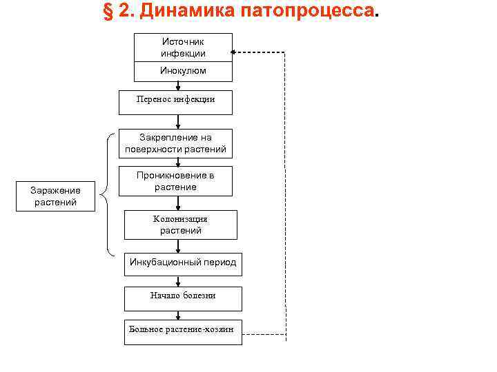   § 2. Динамика патопроцесса.    Источник    
