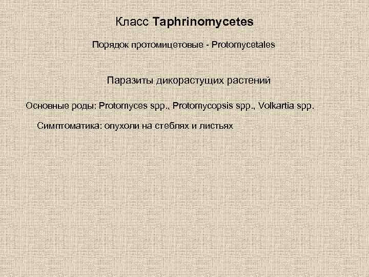 Класс Taphrinomycetes Порядок протомицетовые - Protomycetales Паразиты дикорастущих растений Основные роды: Protomyces spp. ,