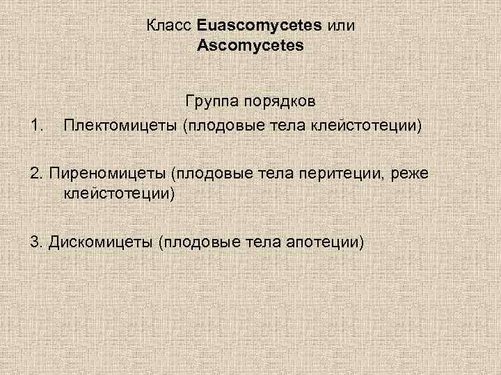 Класс Euascomycetes или Ascomycetes 1. Группа порядков Плектомицеты (плодовые тела клейстотеции) 2. Пиреномицеты (плодовые