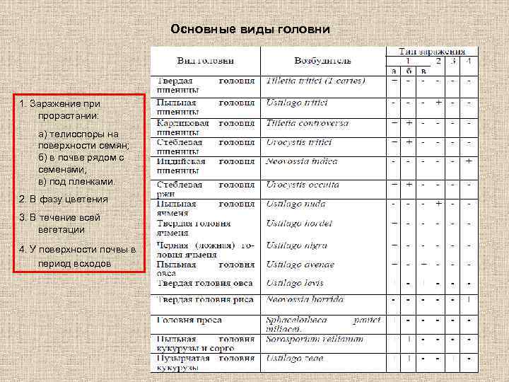 Основные виды головни 1. Заражение при прорастании: а) телиоспоры на поверхности семян; б) в