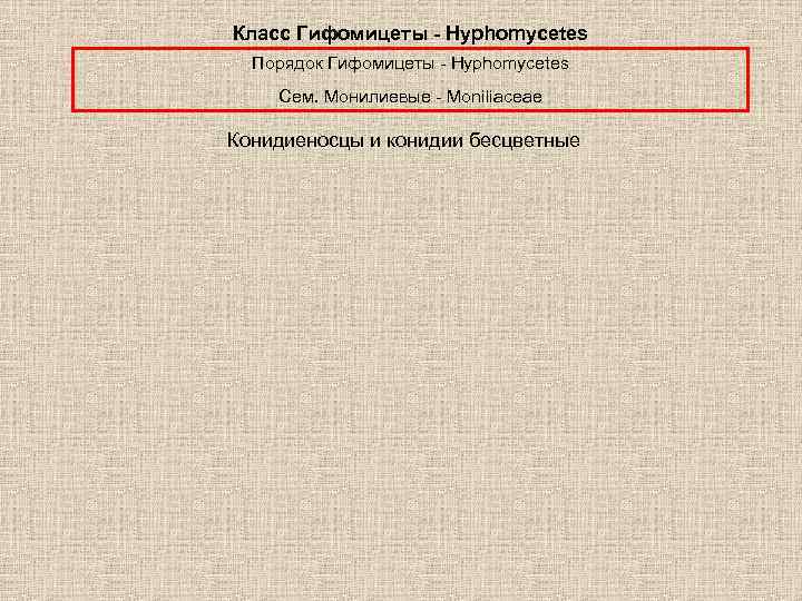 Класс Гифомицеты - Hyphomycetes Порядок Гифомицеты - Hyphomycetes Сем. Монилиевые - Moniliaceae Конидиеносцы и