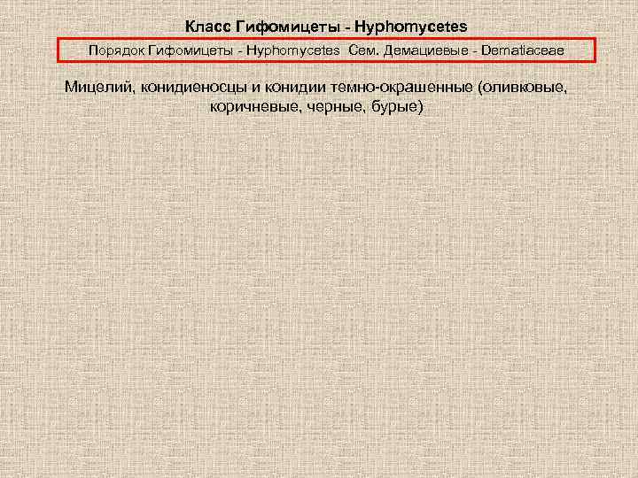 Класс Гифомицеты - Hyphomycetes Порядок Гифомицеты - Hyphomycetes Сем. Демациевые - Dematiaceae Мицелий, конидиеносцы