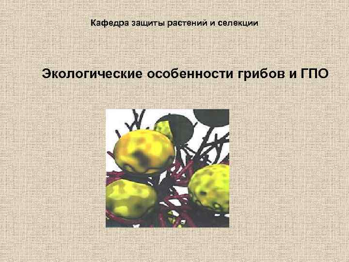  Кафедра защиты растений и селекции Экологические особенности грибов и ГПО 